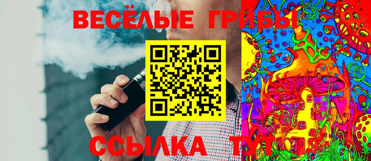 Псилоцибиновые грибы мухоморы Ачхой-Мартан