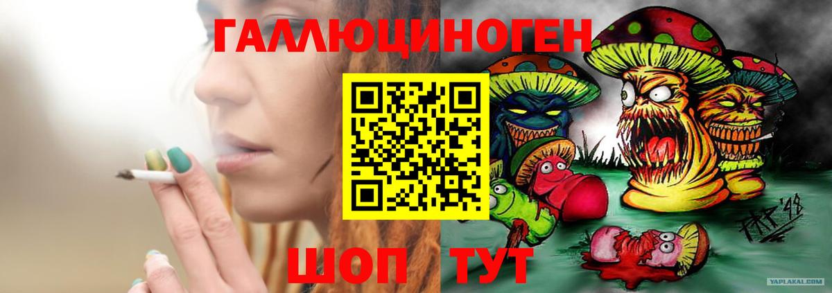 Псилоцибиновые грибы GOLDEN TEACHER  Вход с VPN  где купить наркоту  Ачхой-Мартан 